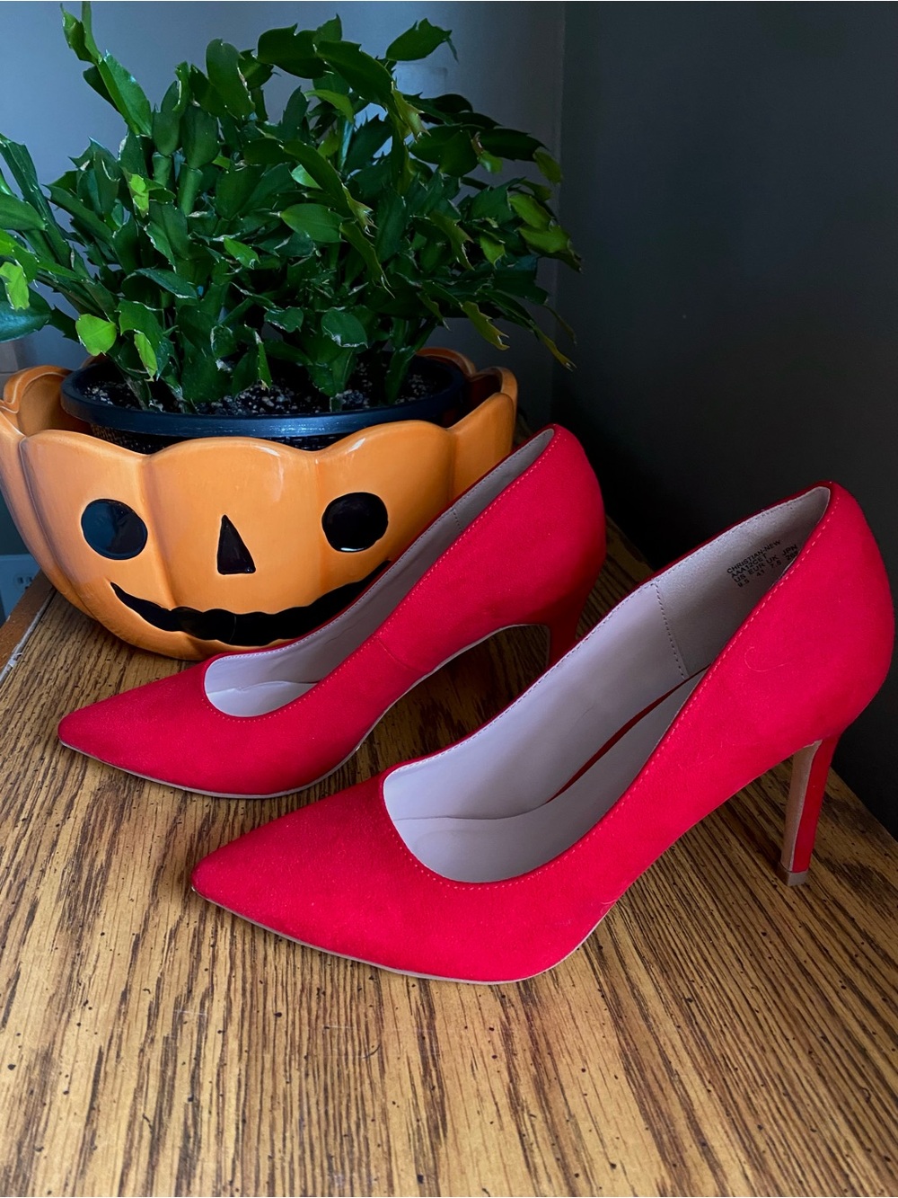 Women’s Dream Pairs Christian Classic Red Suede Pointed Toe High Heels Size 9.5